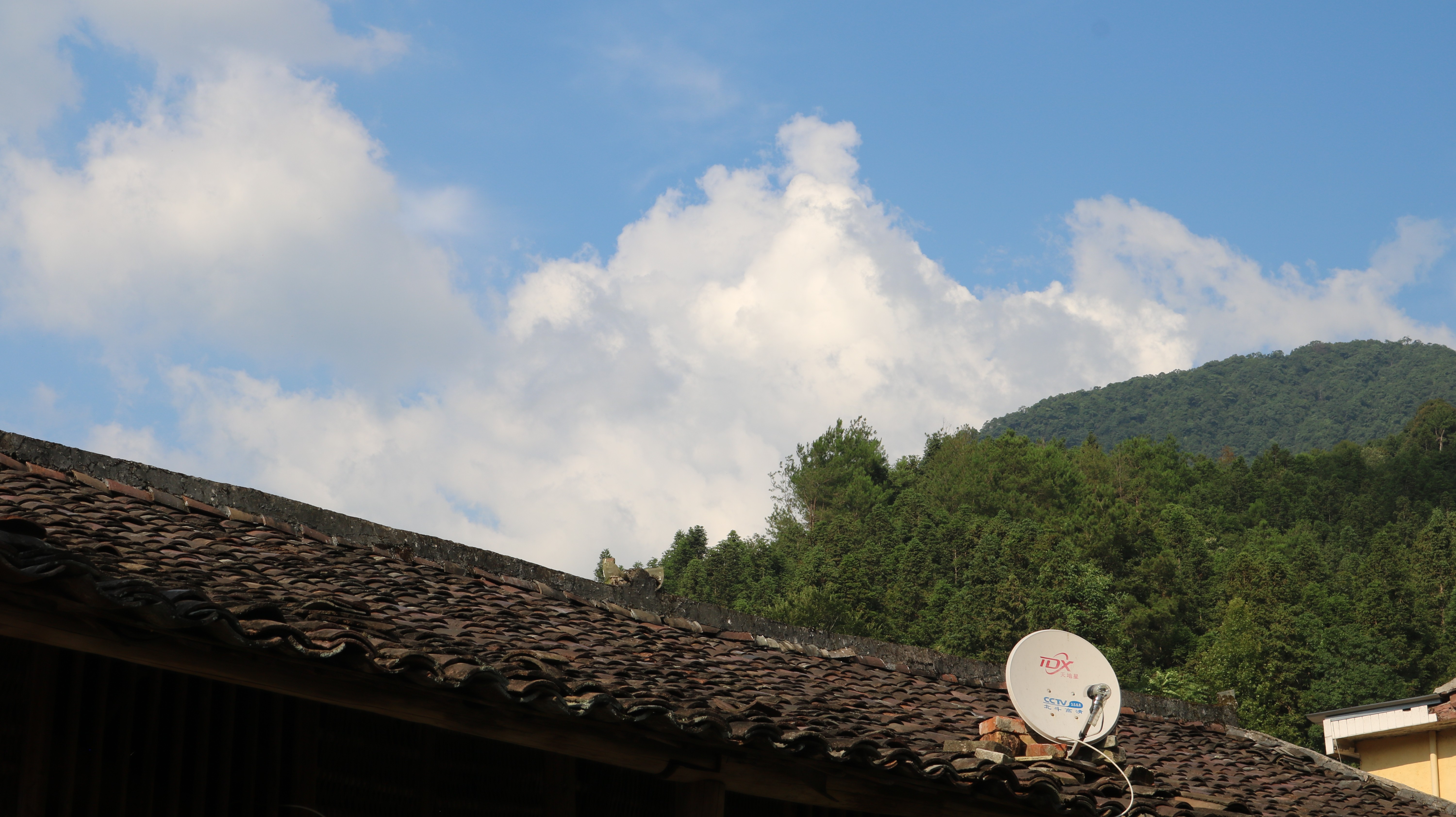 村情概况